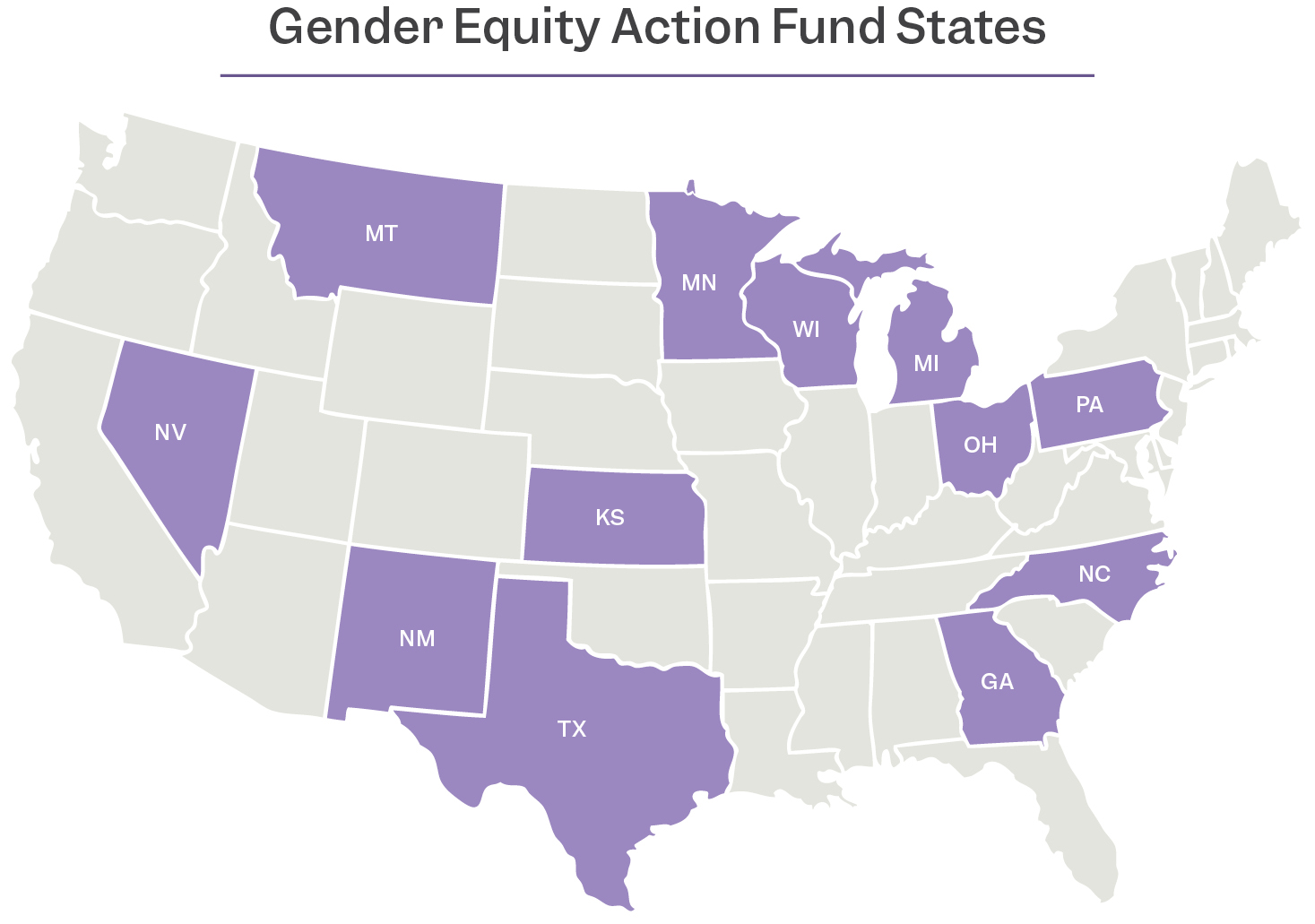 Strategy - Gender Equity Action Fund (GEAF)